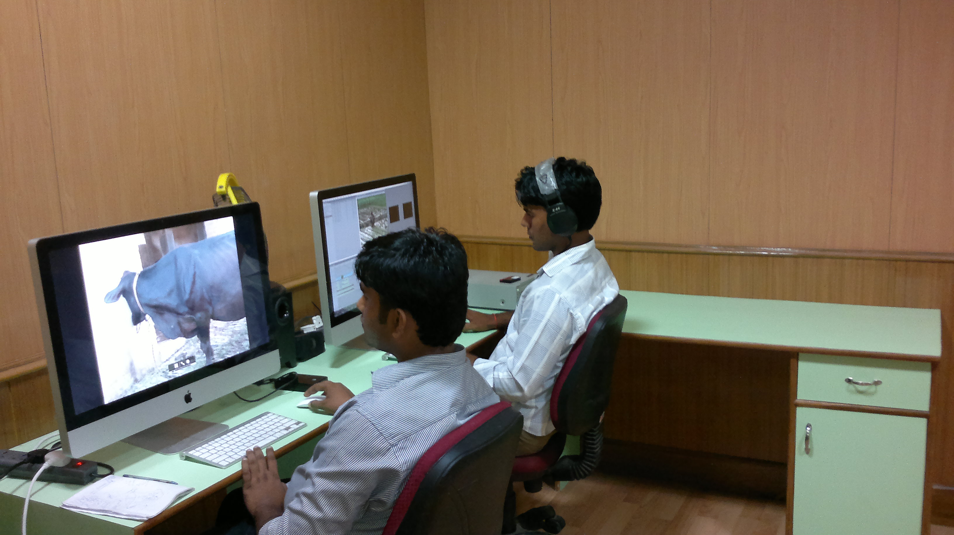Audio and video content production by WDF