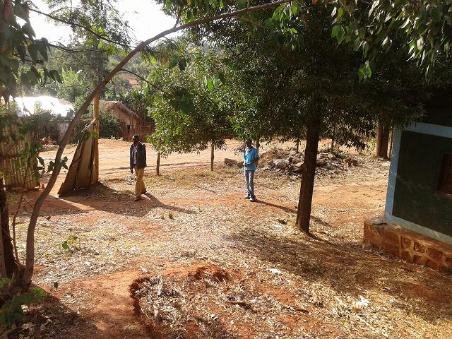 Adola Rede surrounding